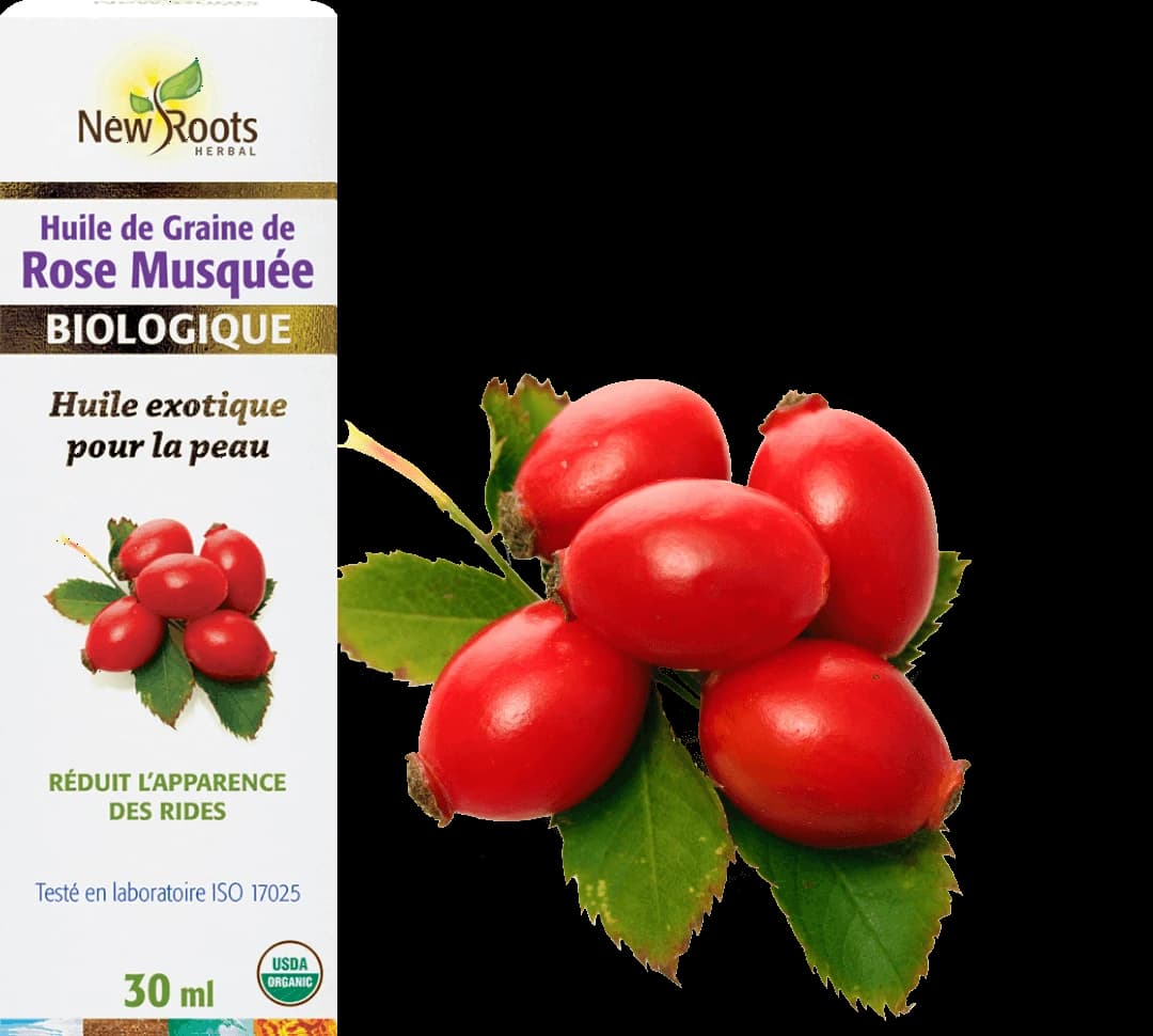Rose Musquée
